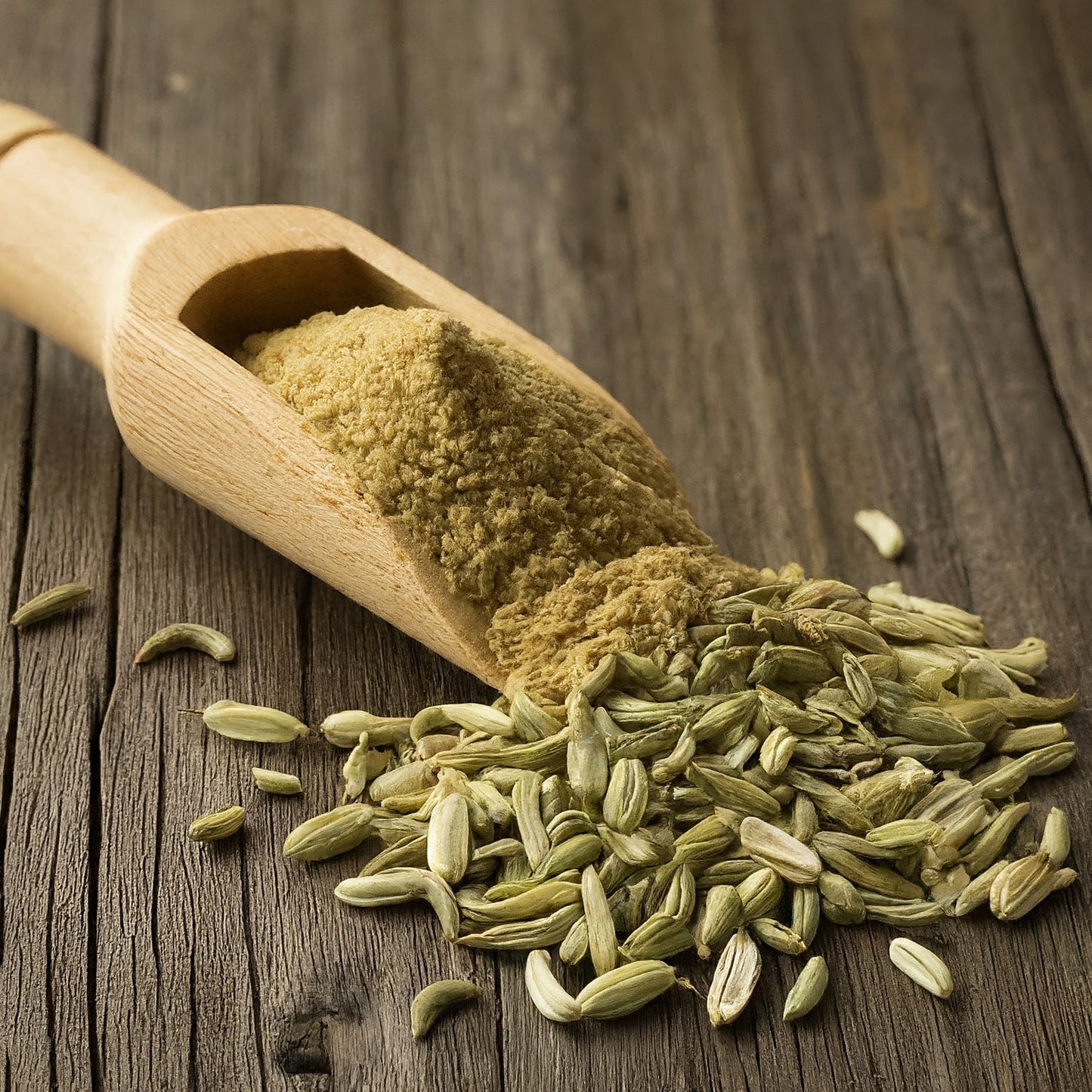 Fennel Powder