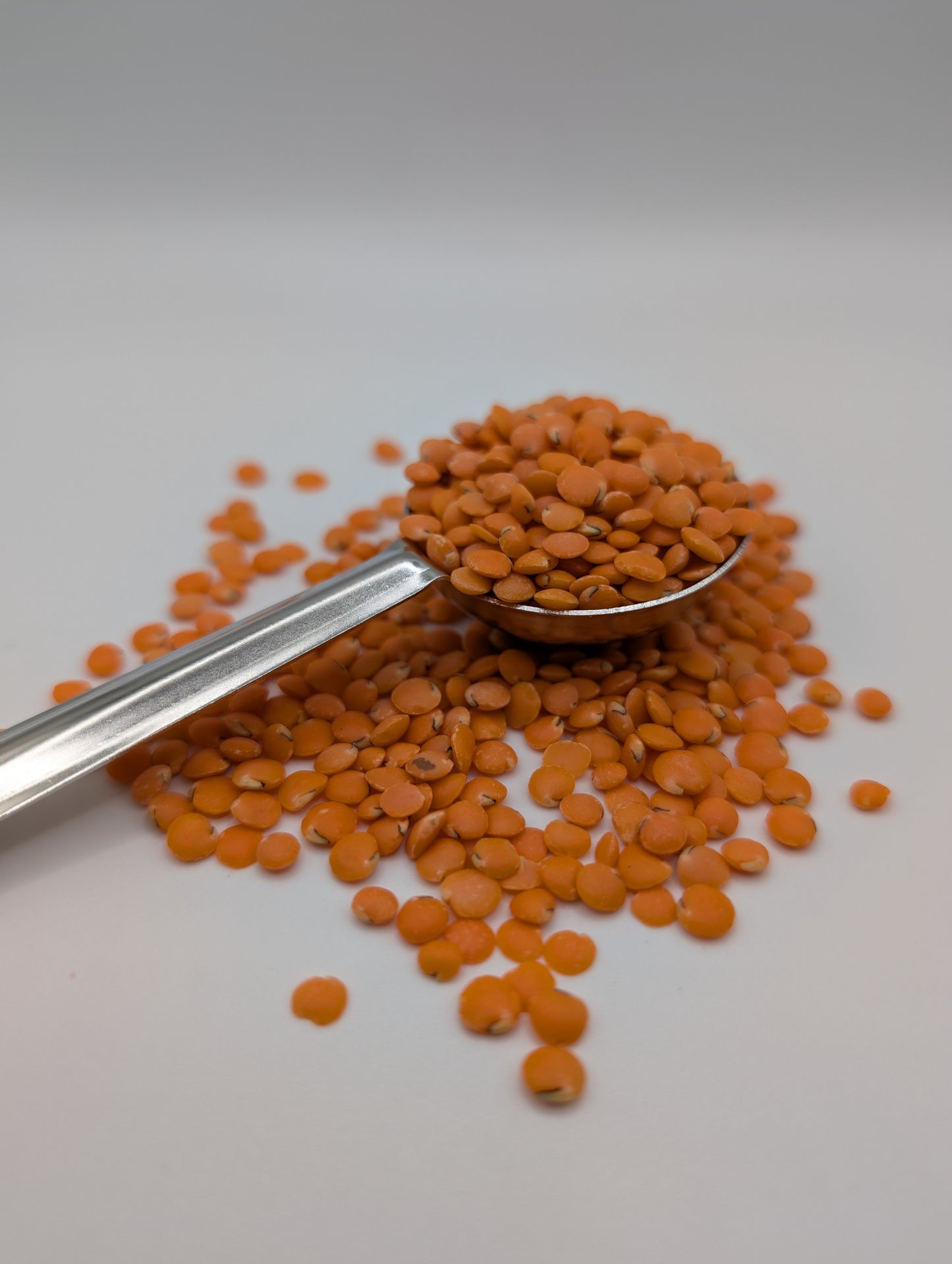 Red Split Lentils