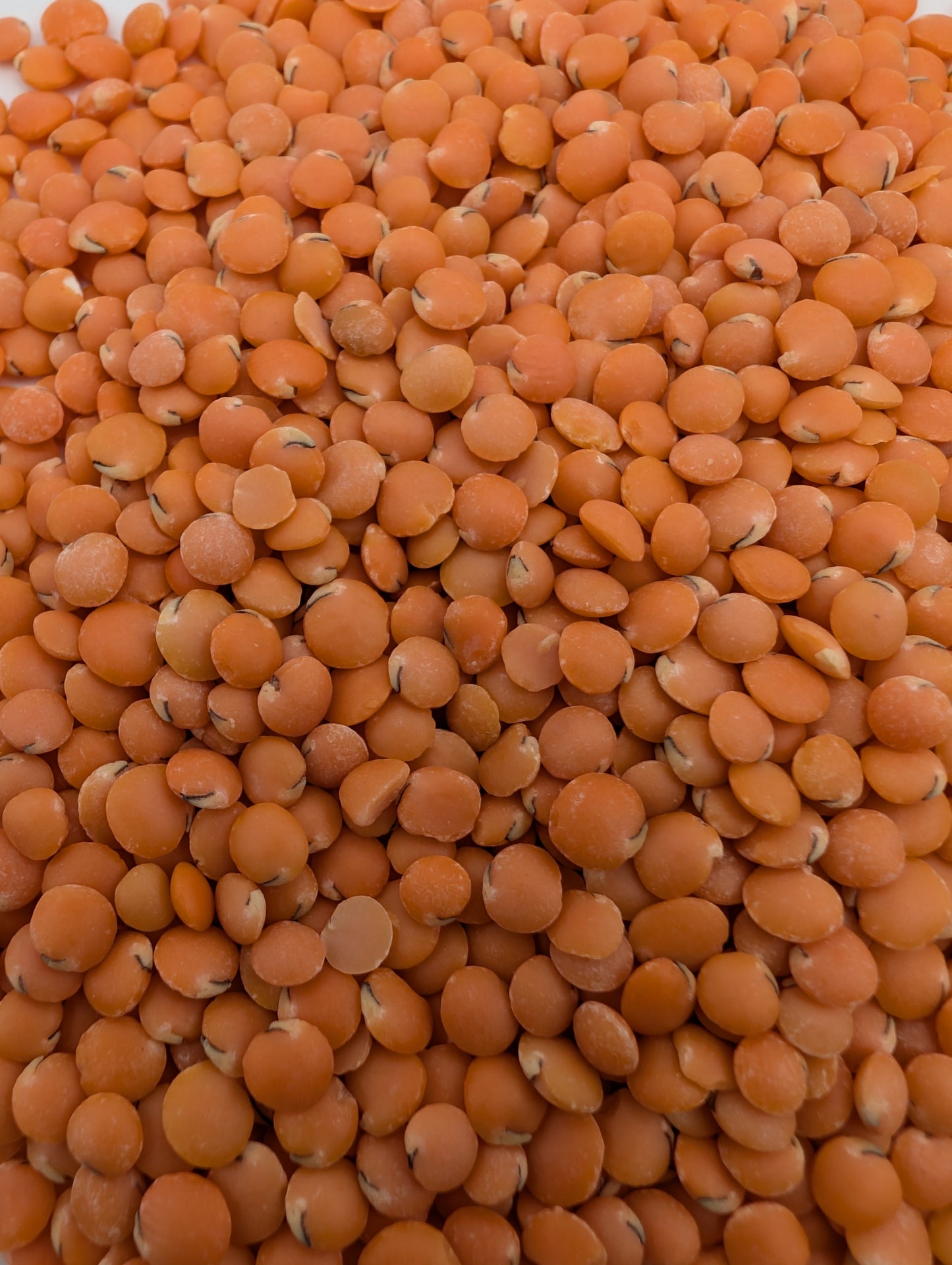 Red Split Lentils