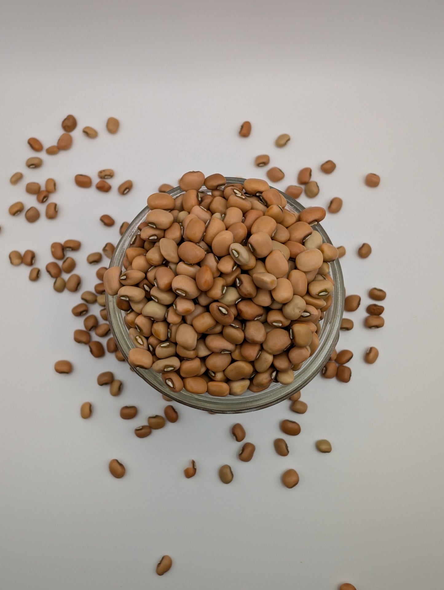 Red Cow Peas