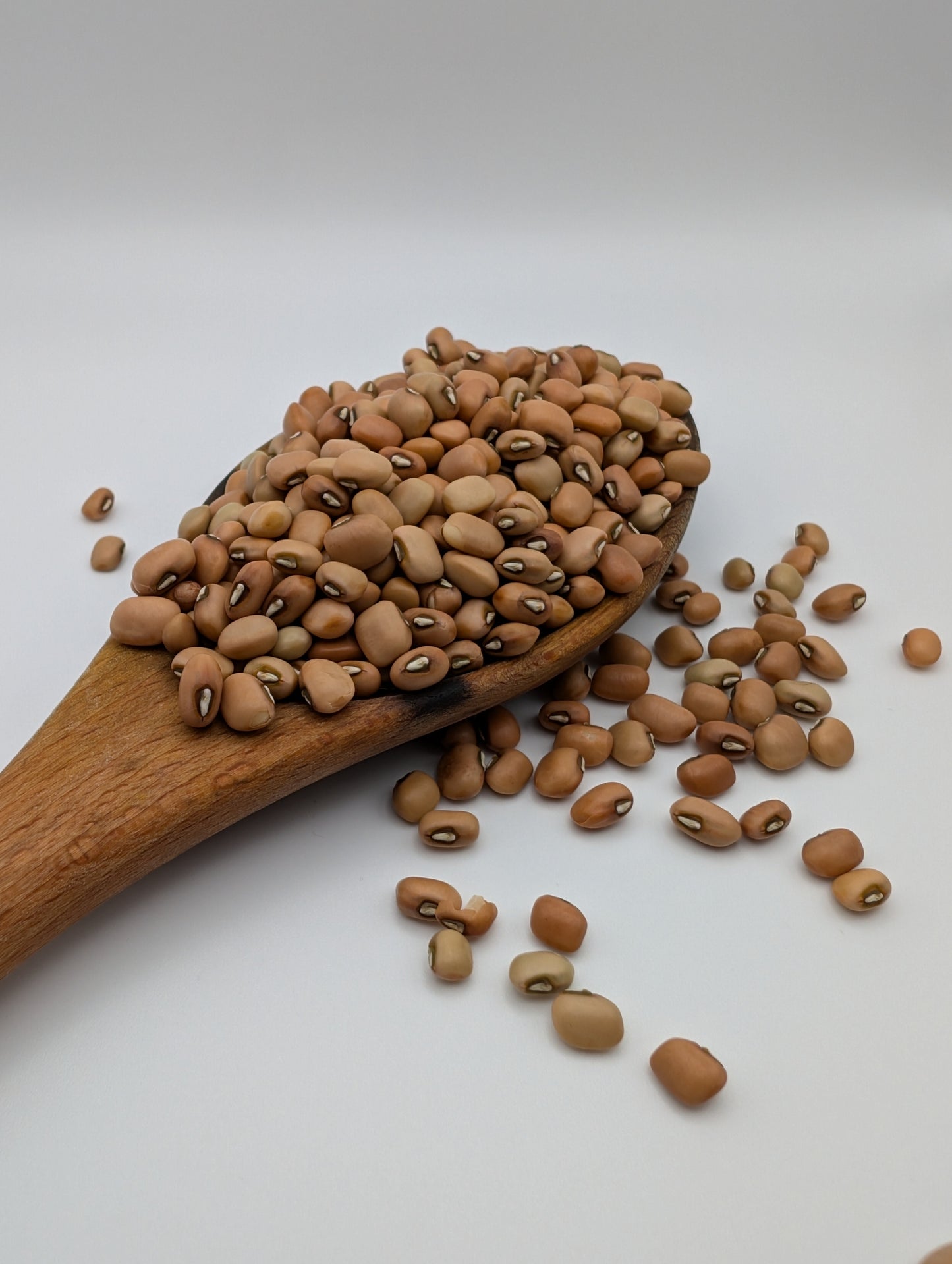 Red Cow Peas