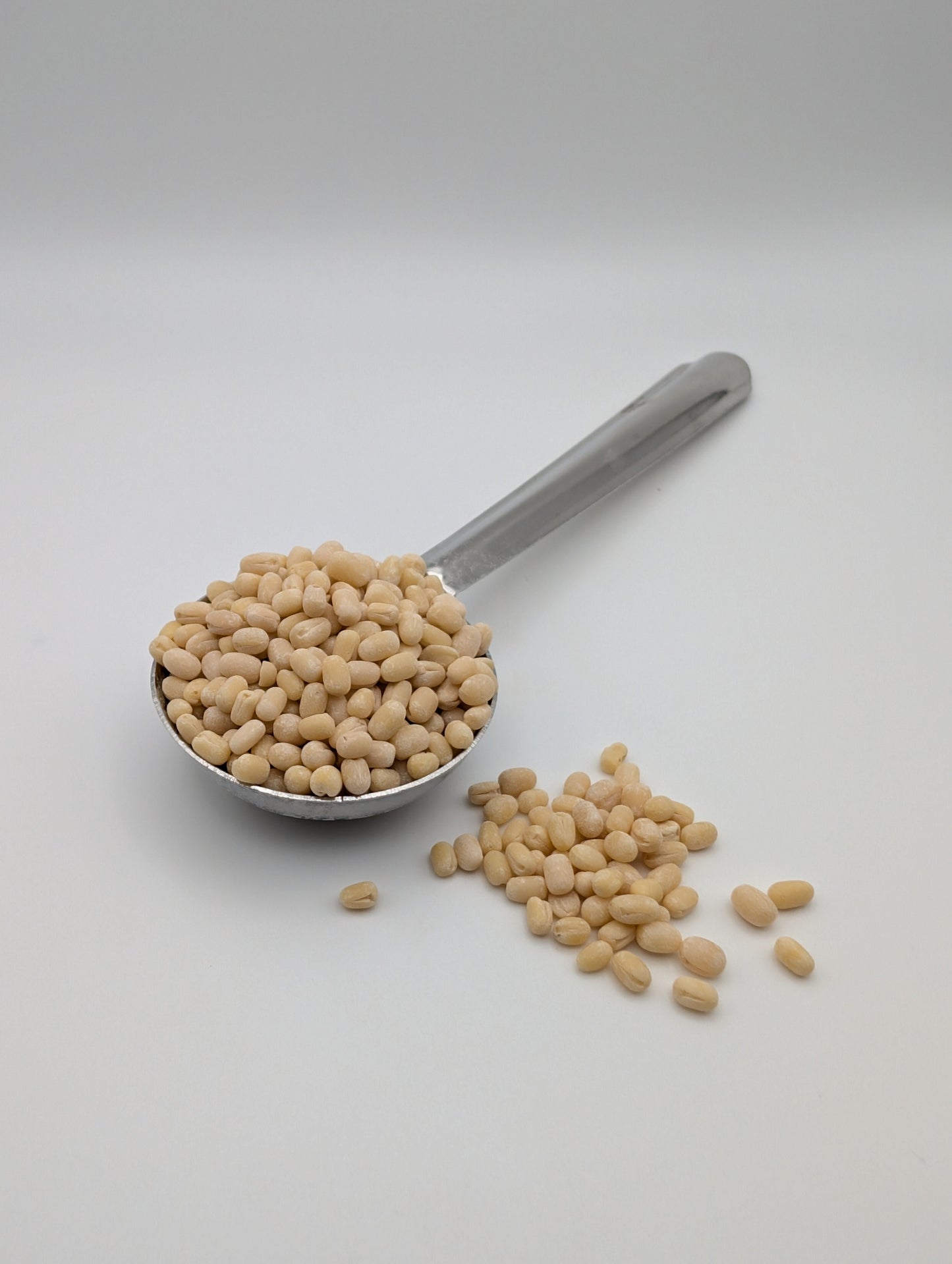 Husk less Whole Urad Dal