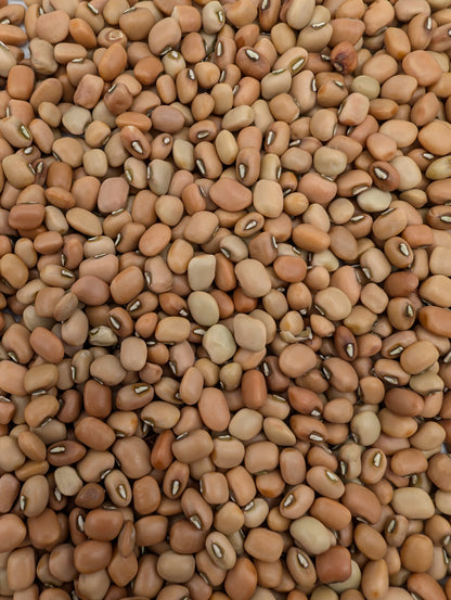Red Cow Peas